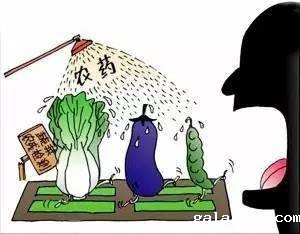 食品安全检测仪使用方法（食品安全检测仪操作步骤）